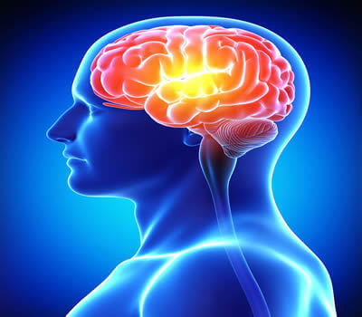 Enfermagem em Neurologia