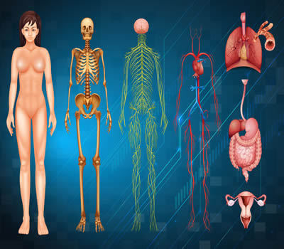 Fisiologia Geral