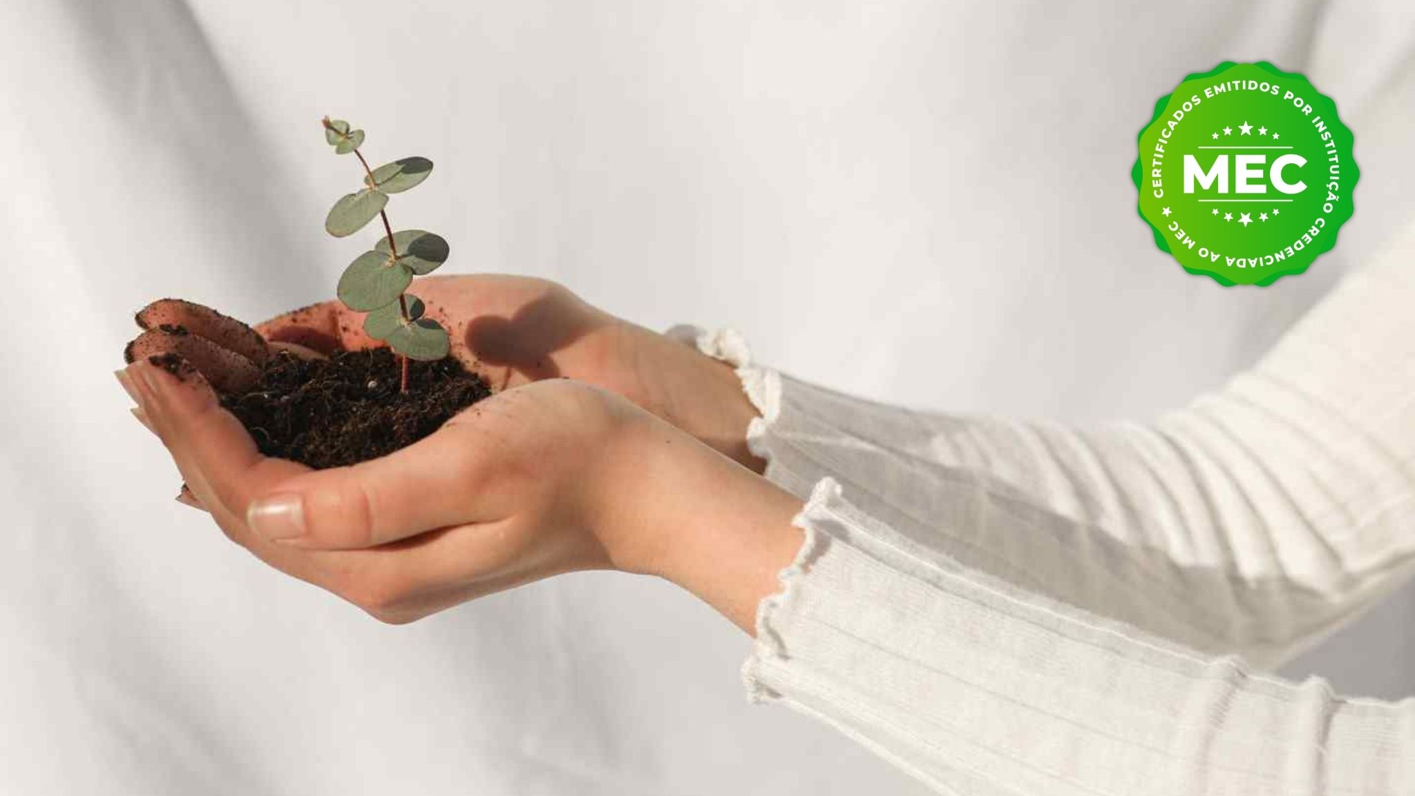 Educação Ambiental E Sustentabilidade