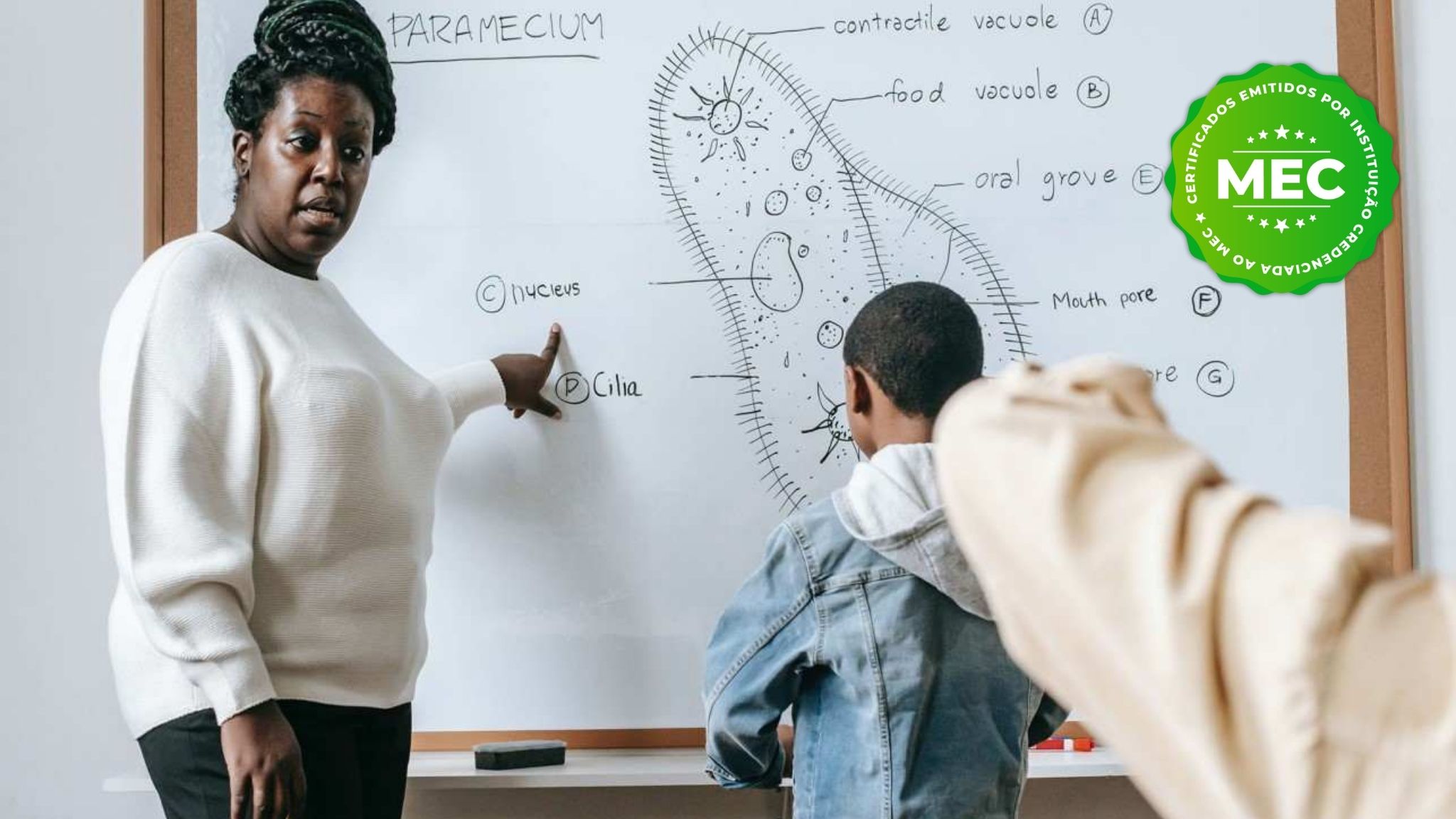Ensino De Biologia E Ciências