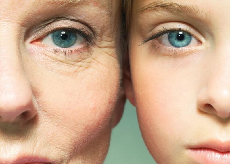  Processo de Envelhecimento, Fisiologia e Farmacologia