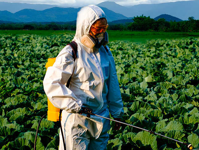  NR 31 - Segurança e  Saúde no Trabalho na Agricultura