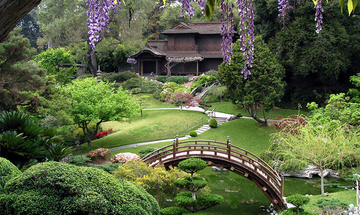  Paisagismo e Plantas Ornamentais