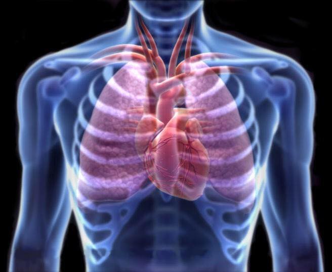  Adaptações Do Sistema Cardiorrespiratório