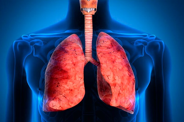 Doença Pulmonar Obstrutiva Crônica da Caracterização ao Tratamento
