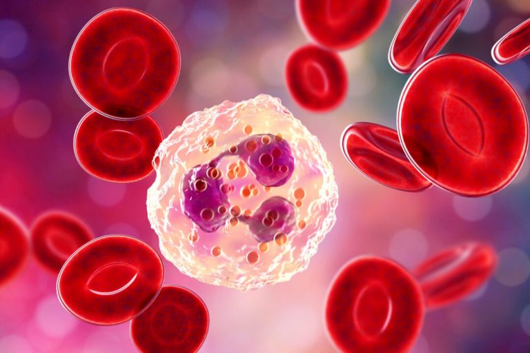 Hematologia