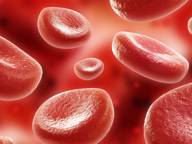  Hematologia Geral
