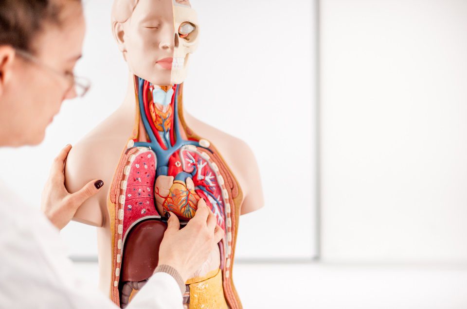 Fisiopatologia Clínica Para O Intensivista Abordagem Tecnológica Do Paciente Crítico