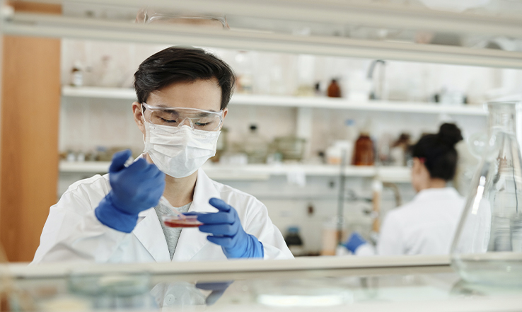  Medicina Tradicional Chinesa