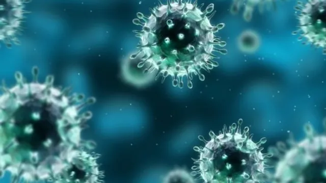 Doenças Infectocontagiosas 